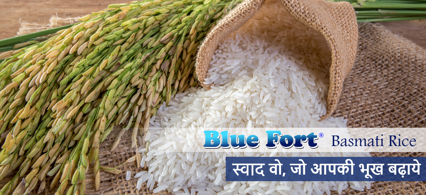 Range of Blue Fort Basmati Rice Online